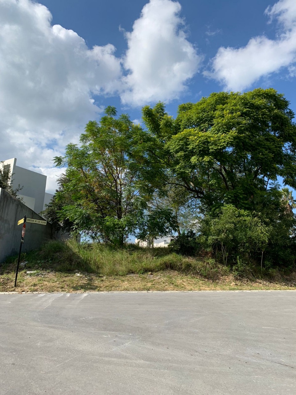 Terreno en Venta - Fracc. Los Olivos en El Barro - Santiago N.L.