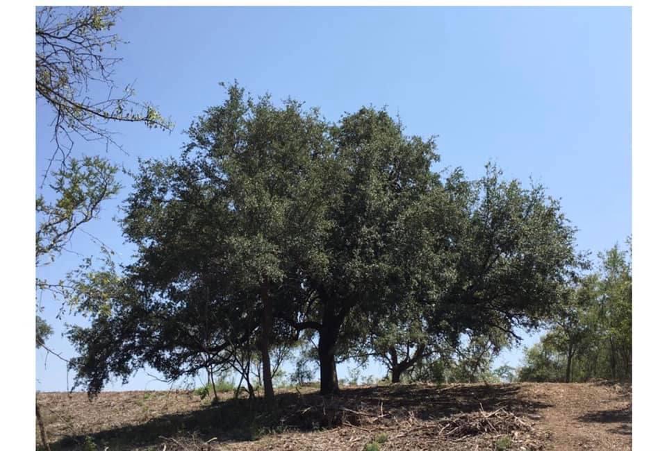 Terrero Campestre en el Barrial 