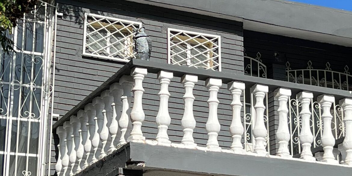 Casa en Venta Satélite