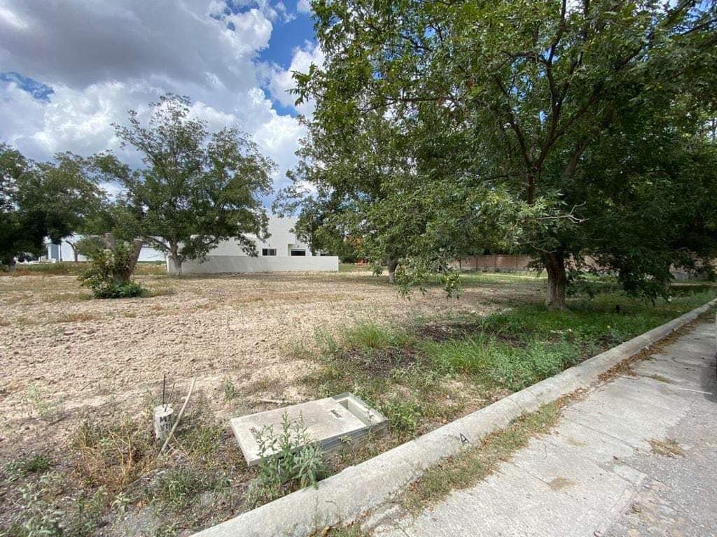 Fotografía 1 de Terreno Residencial,  San Alberto, Saltillo, Coahuila